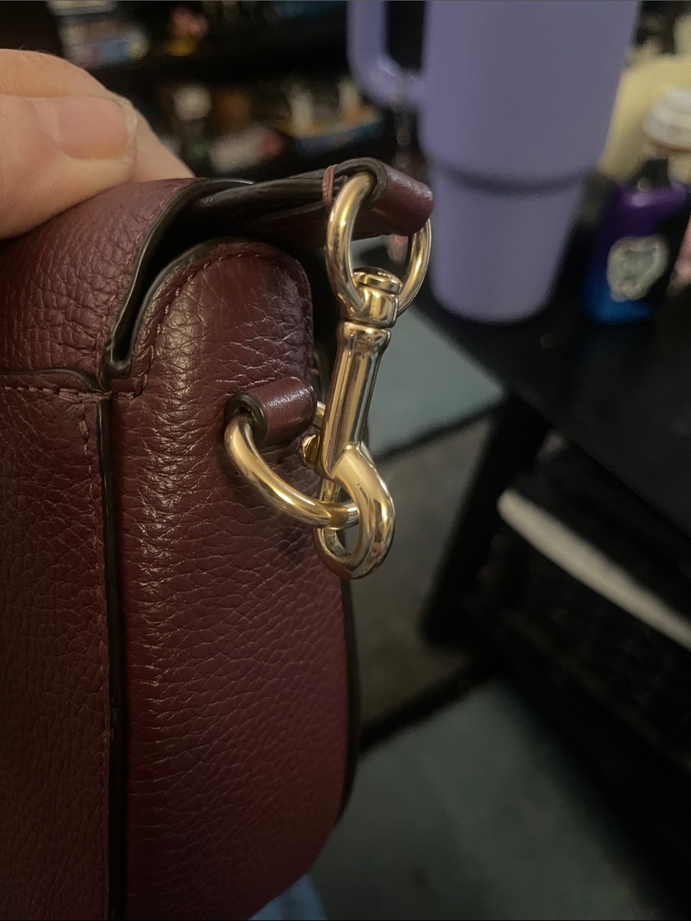 Coach Two-Tone Burgundy & Pink Leather Georgie Saddle Crossbody - Picture 10 of 13